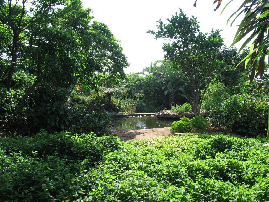 Comfort House Bed & Breakfast Ballito Luaran gambar